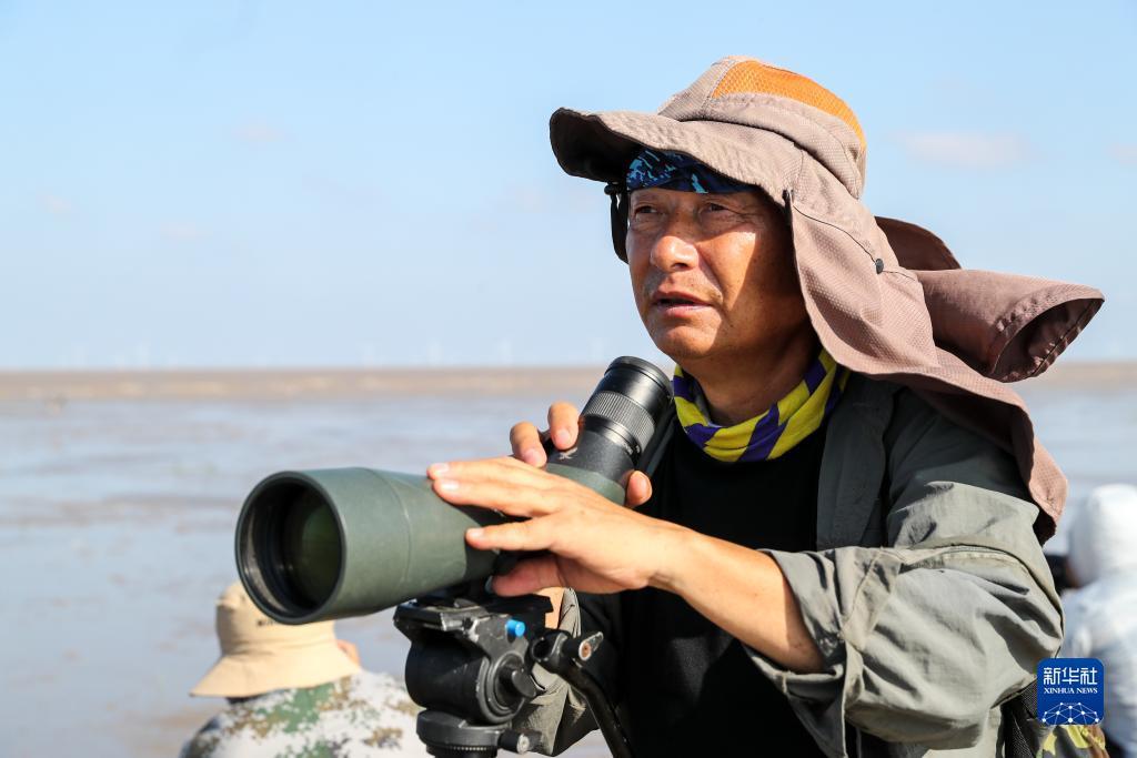 澳洲巴黎人下载