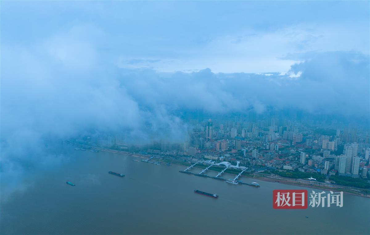 尊亿娱乐手机版网页